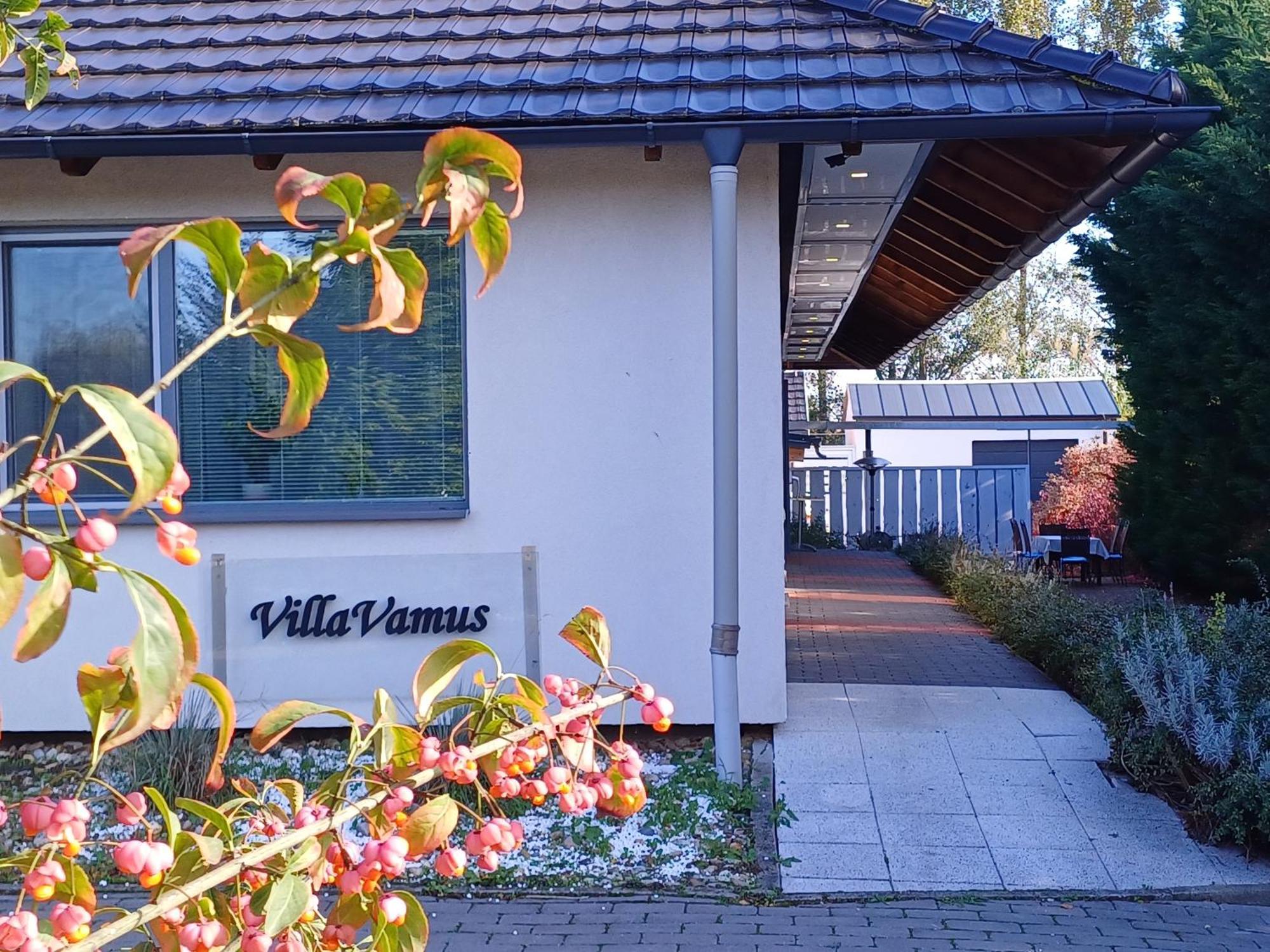 Villa Vamus Vendeg- Es Rendezvenyhaz Vámosszabadi Exterior foto